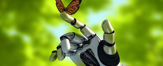 Besichtigung aus der Ferne – kein Problem mit SAM dem Besichtigungsroboter